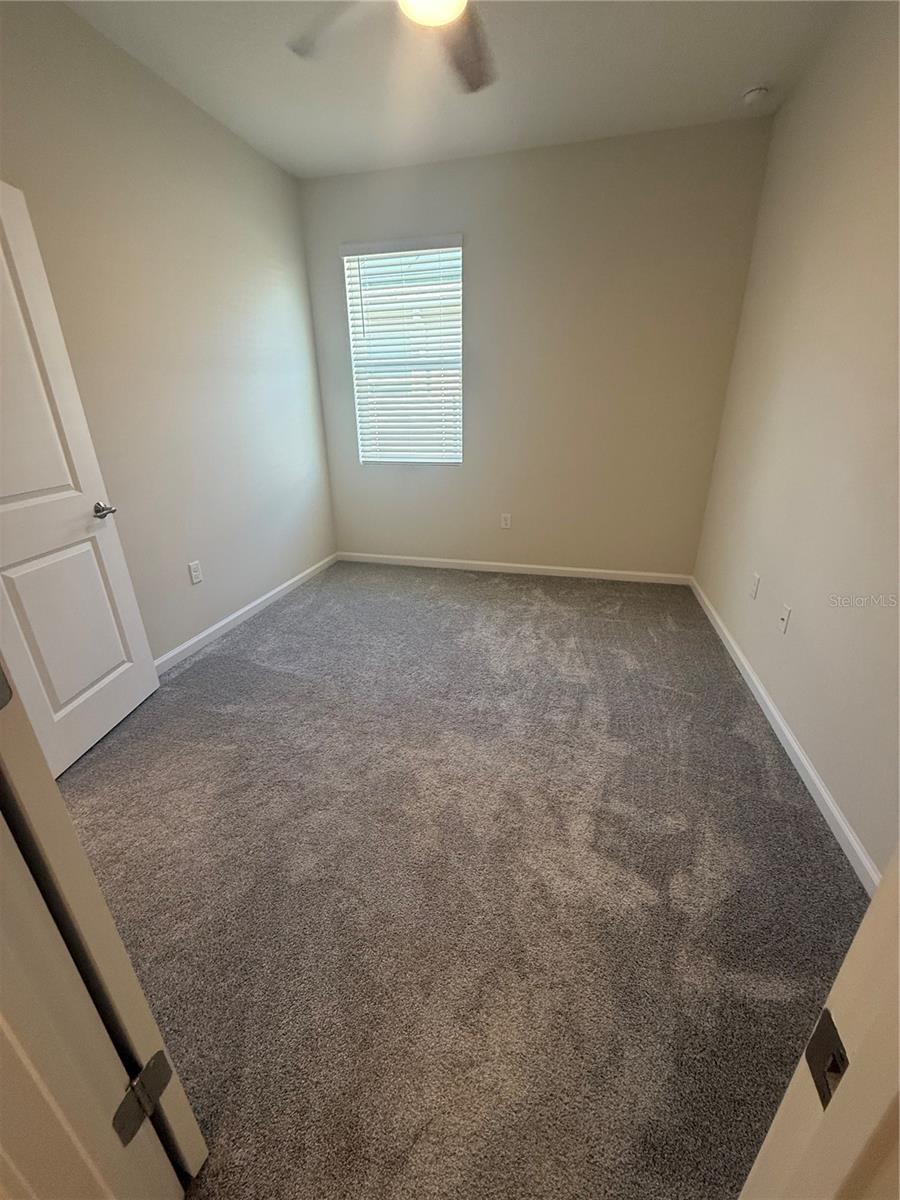 1843 BLACK MAPLE PL, OCOEE, FL, 34761
