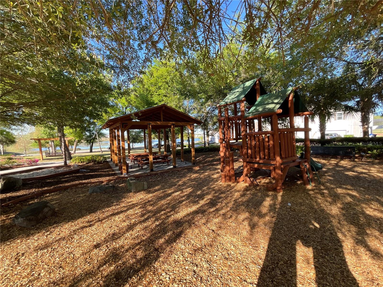 1843 BLACK MAPLE PL, OCOEE, FL, 34761