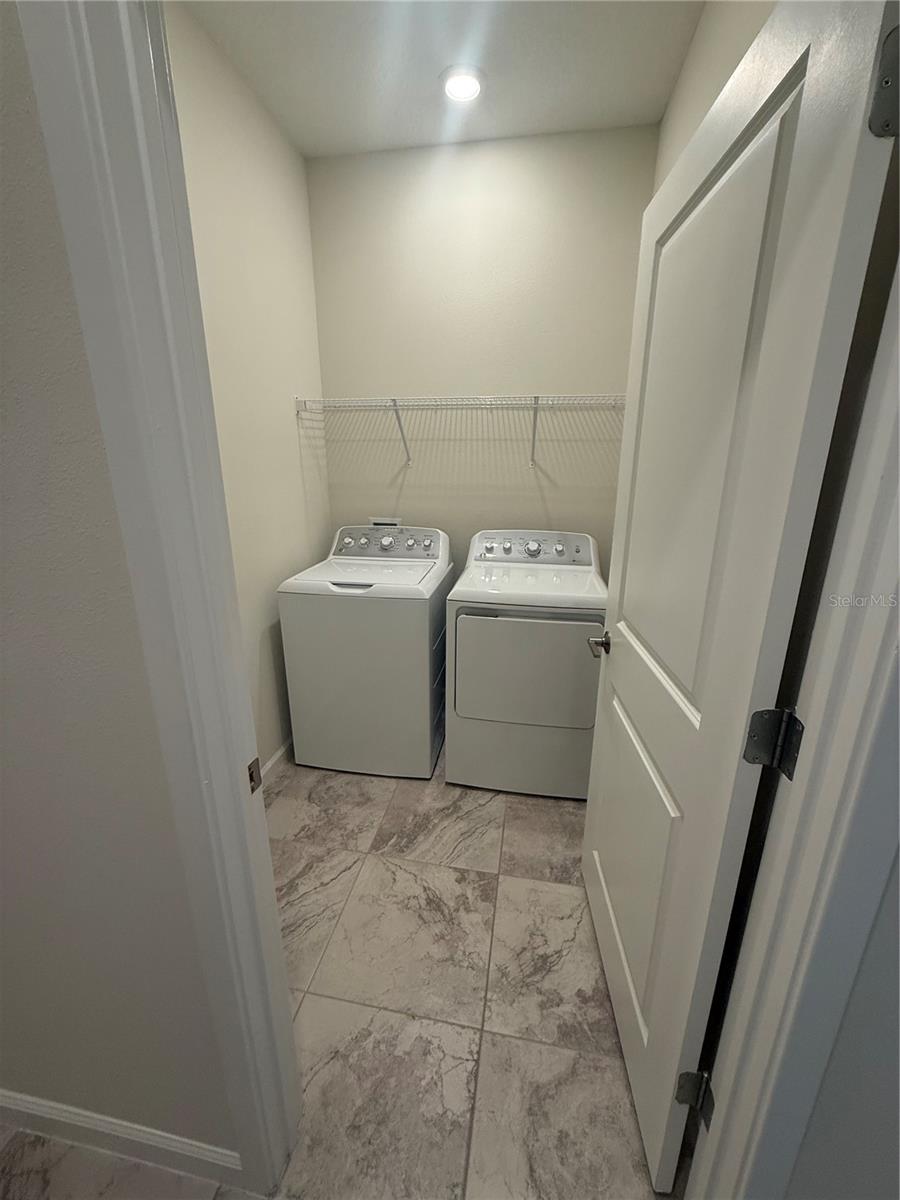 1843 BLACK MAPLE PL, OCOEE, FL, 34761