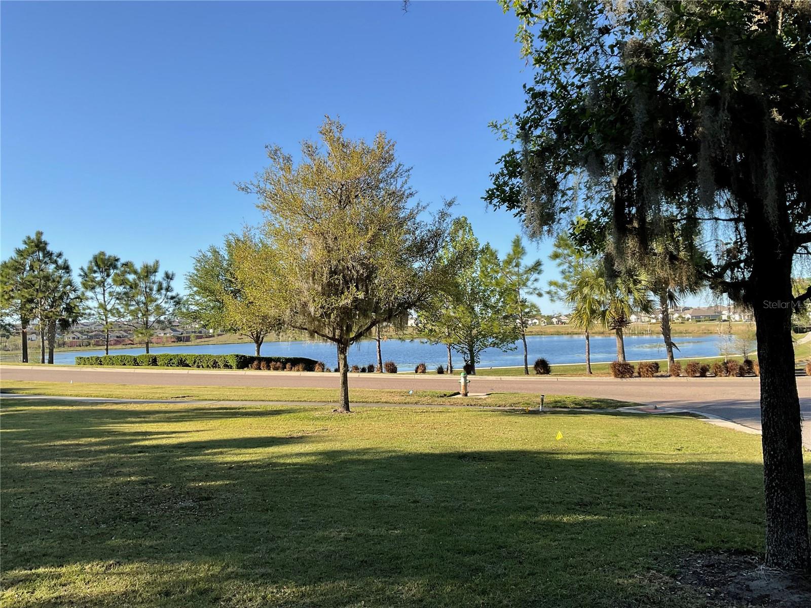 1843 BLACK MAPLE PL, OCOEE, FL, 34761
