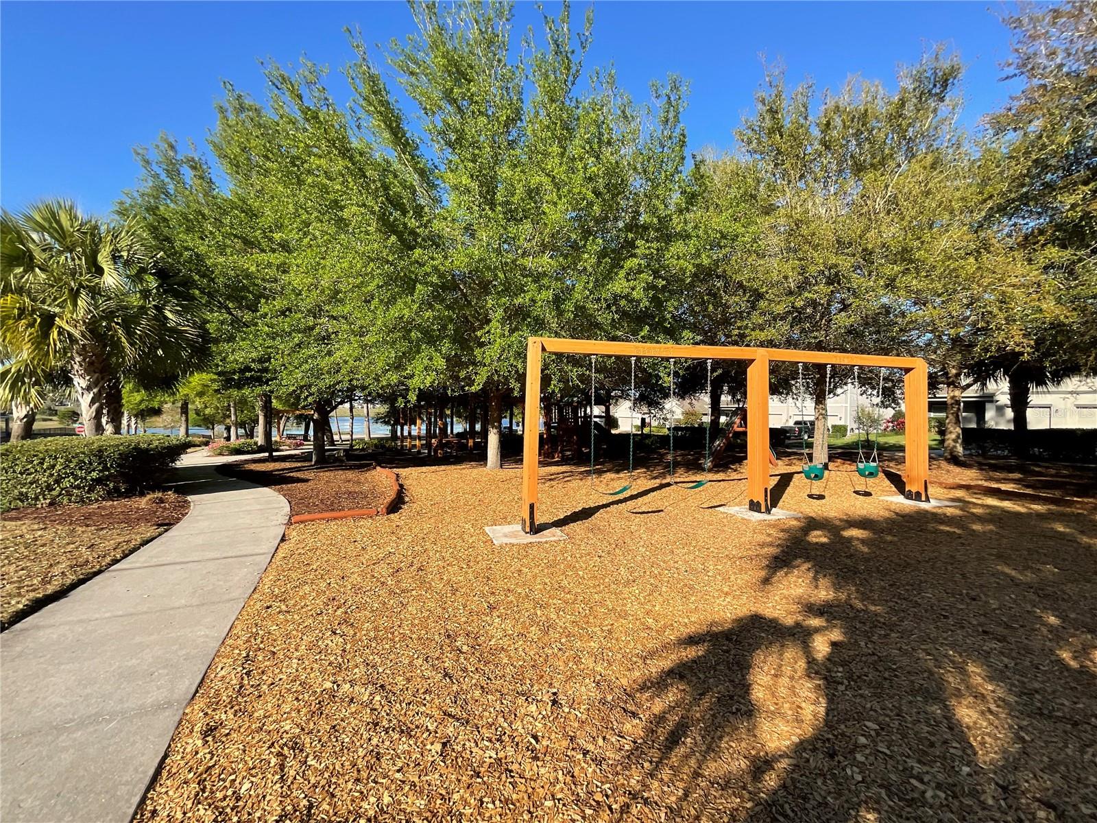 1843 BLACK MAPLE PL, OCOEE, FL, 34761