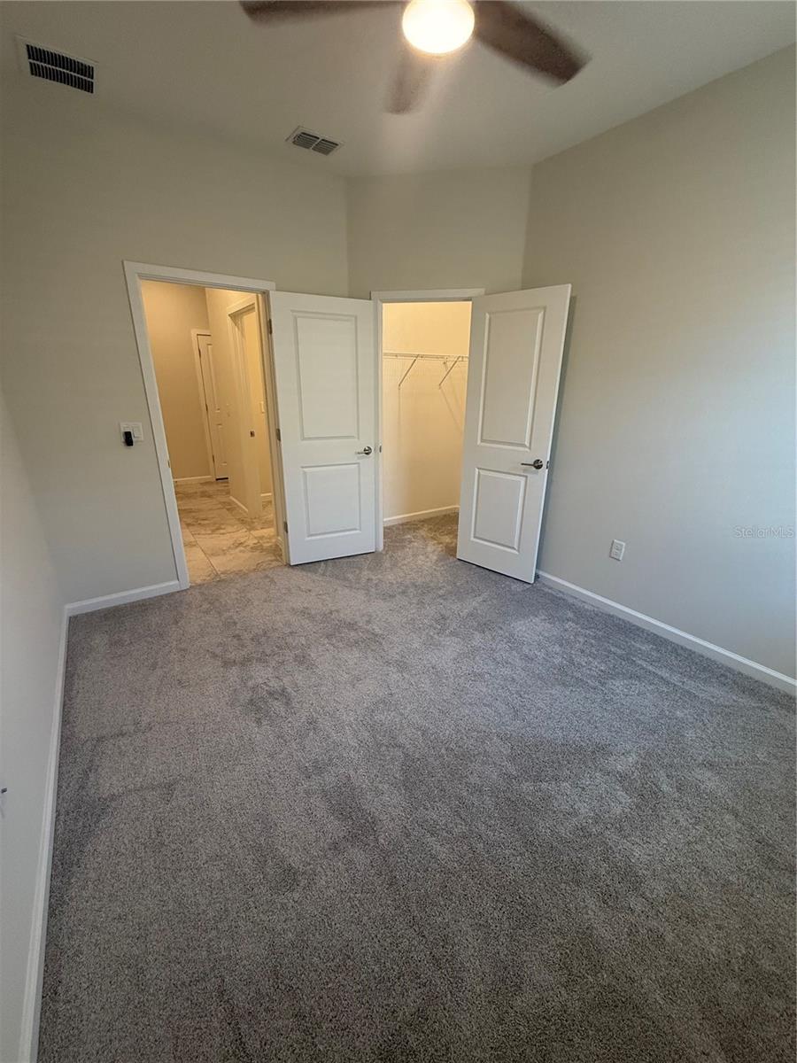 1843 BLACK MAPLE PL, OCOEE, FL, 34761