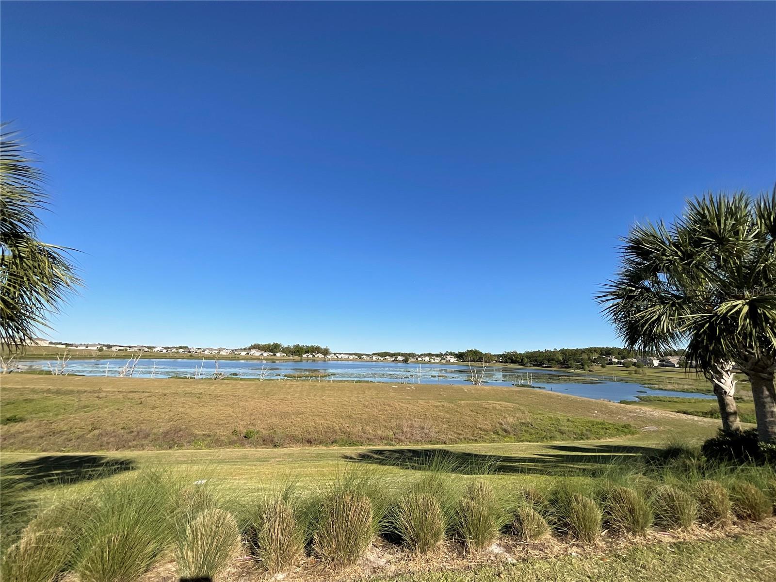 1843 BLACK MAPLE PL, OCOEE, FL, 34761
