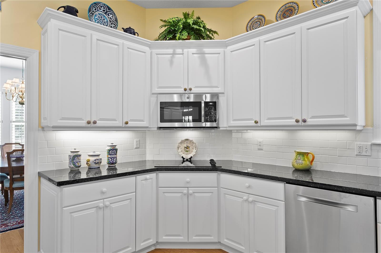 823 S ROXMERE RD, TAMPA, FL, 33609