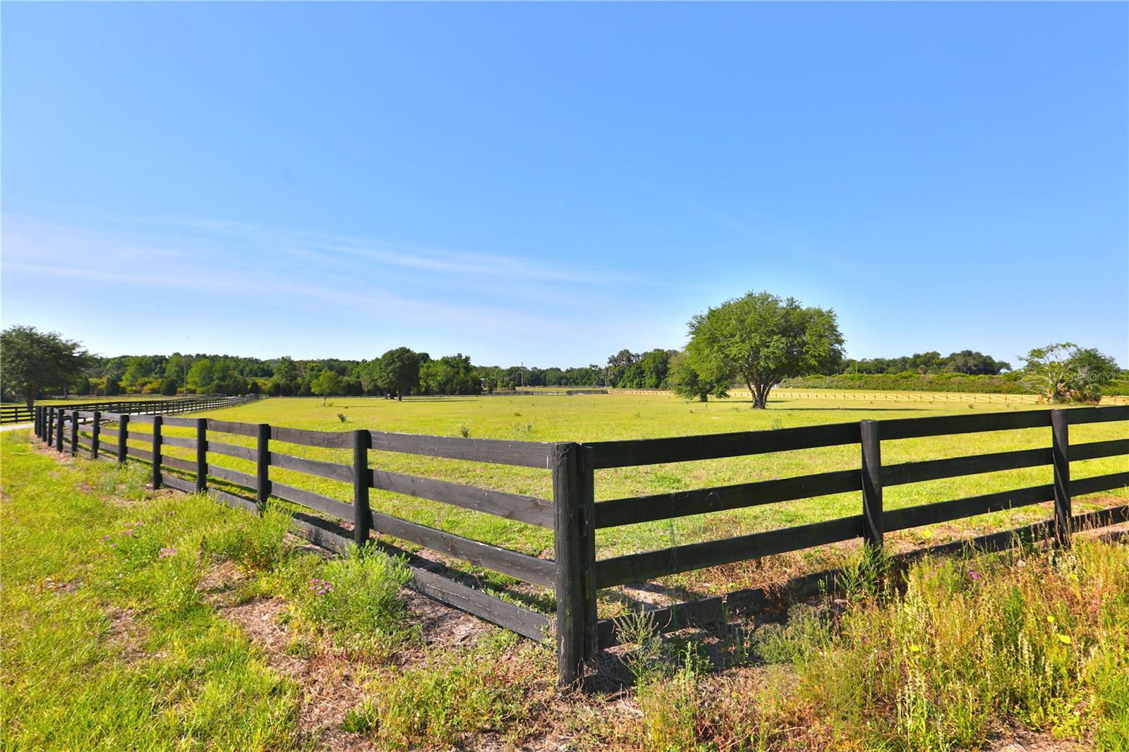 OM696243 Property Photo