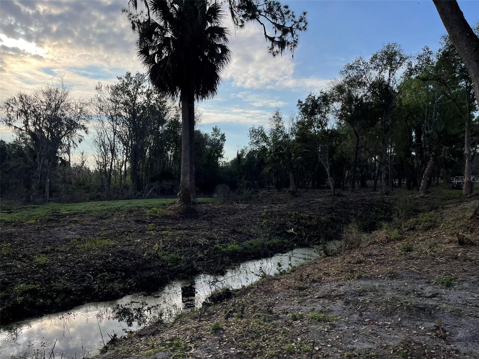 OM696243 Property Photo