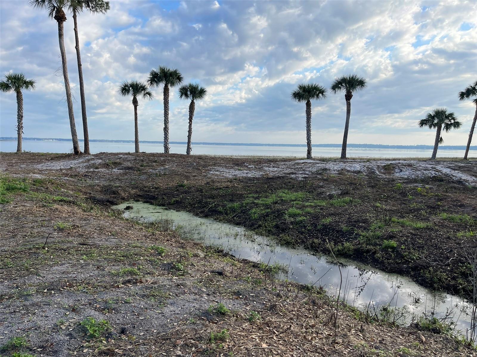 OM696243 Property Photo