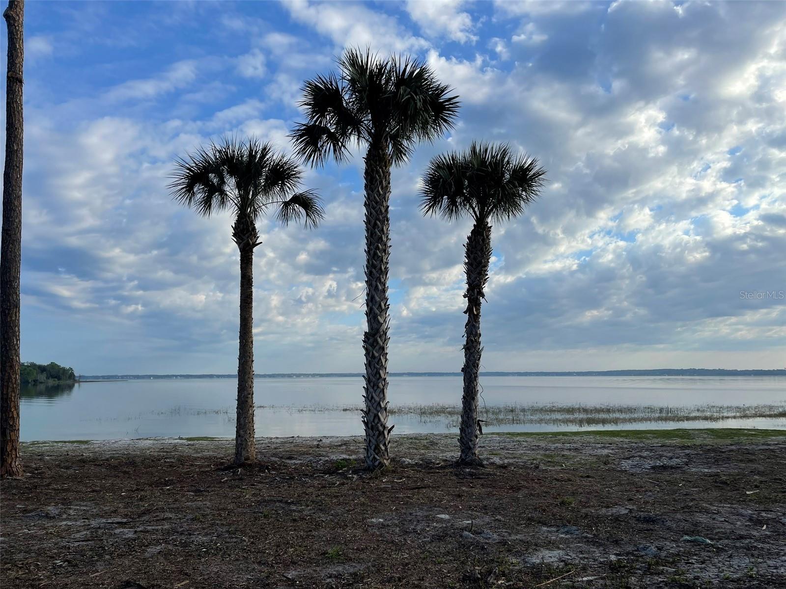 OM696243 Property Photo