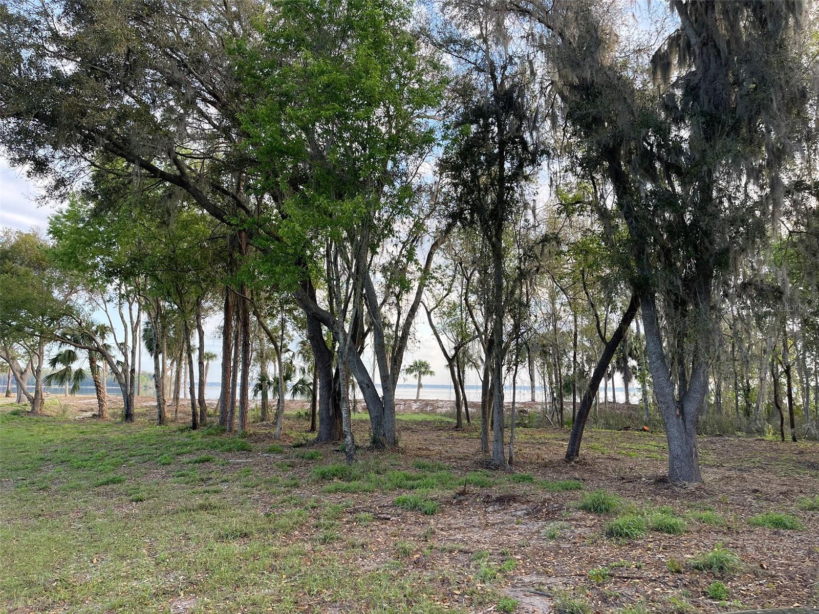 OM696243 Property Photo