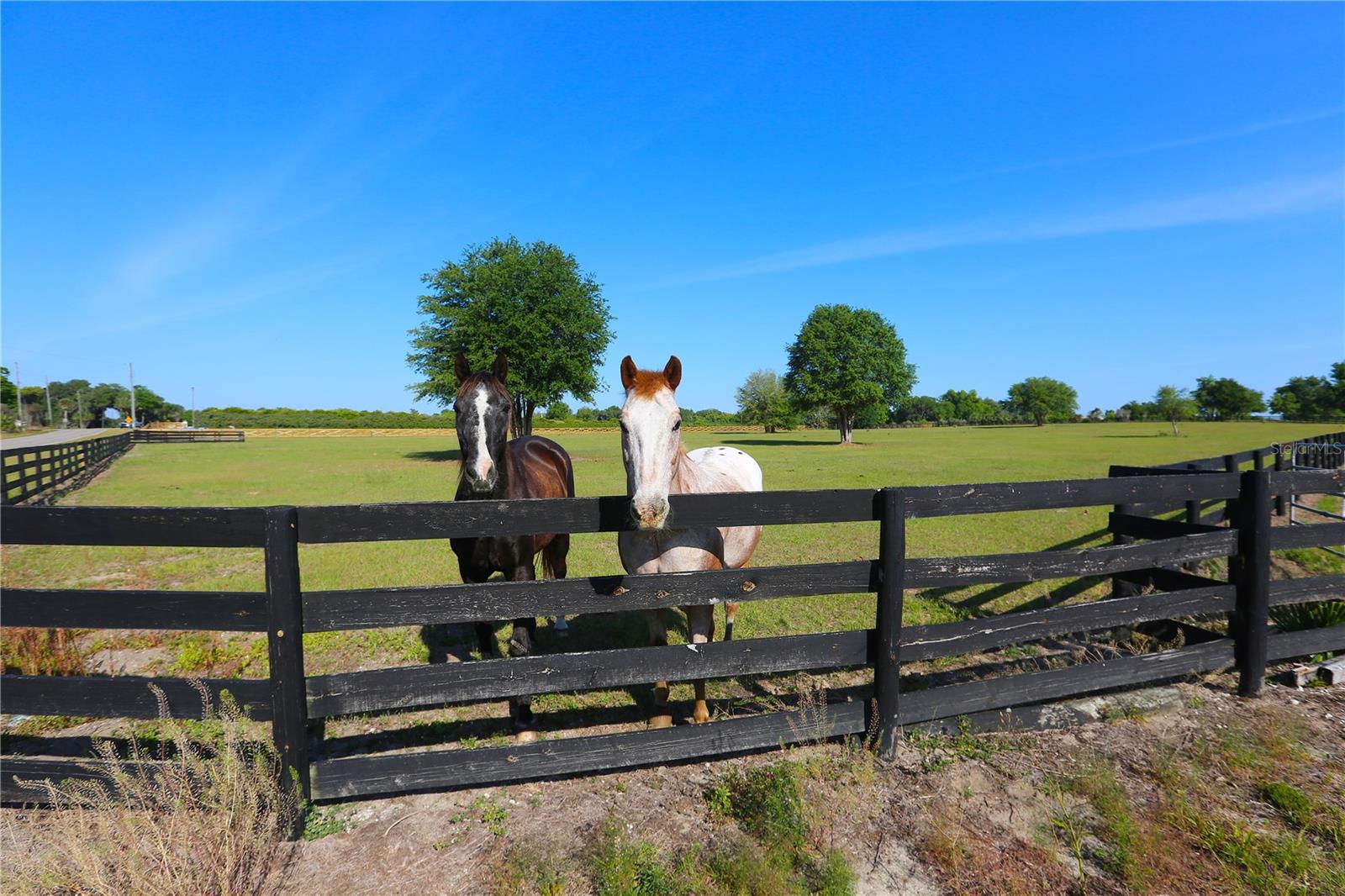 OM696243 Property Photo