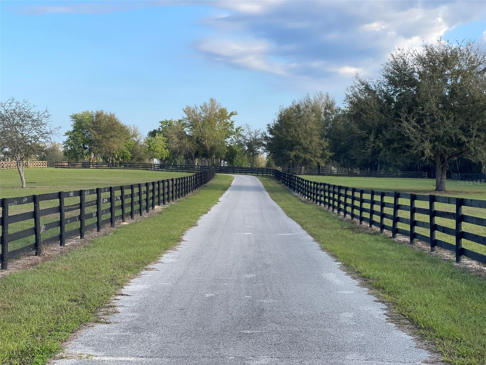 OM696243 Property Photo