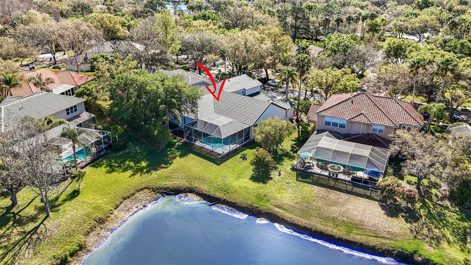 10218 GARDEN ALCOVE DR, TAMPA, FL, 33647