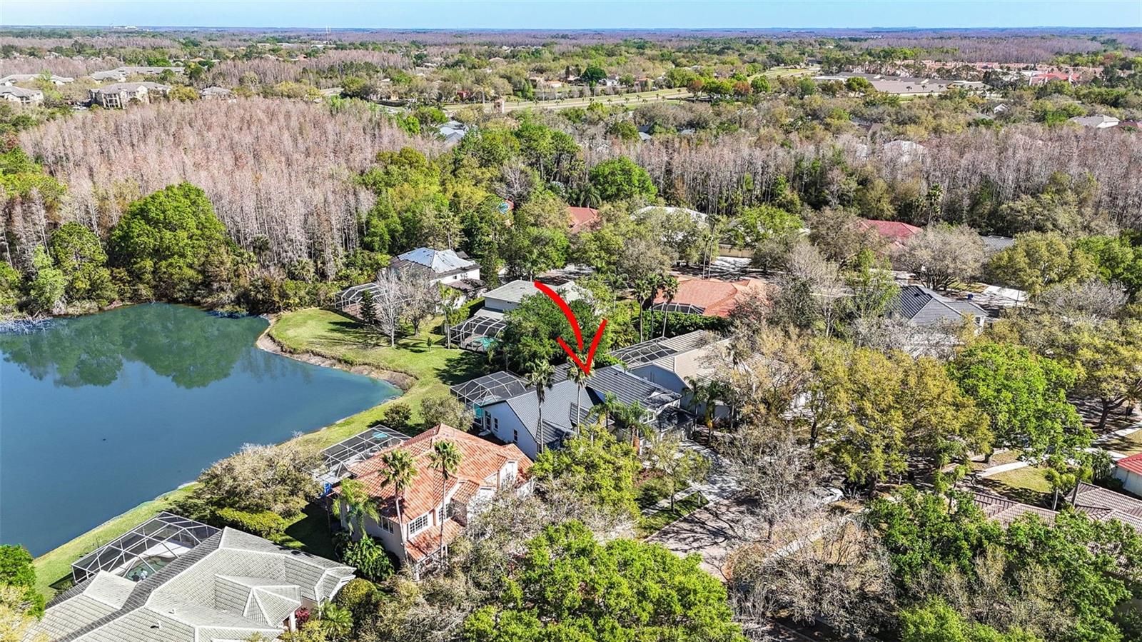 10218 GARDEN ALCOVE DR, TAMPA, FL, 33647