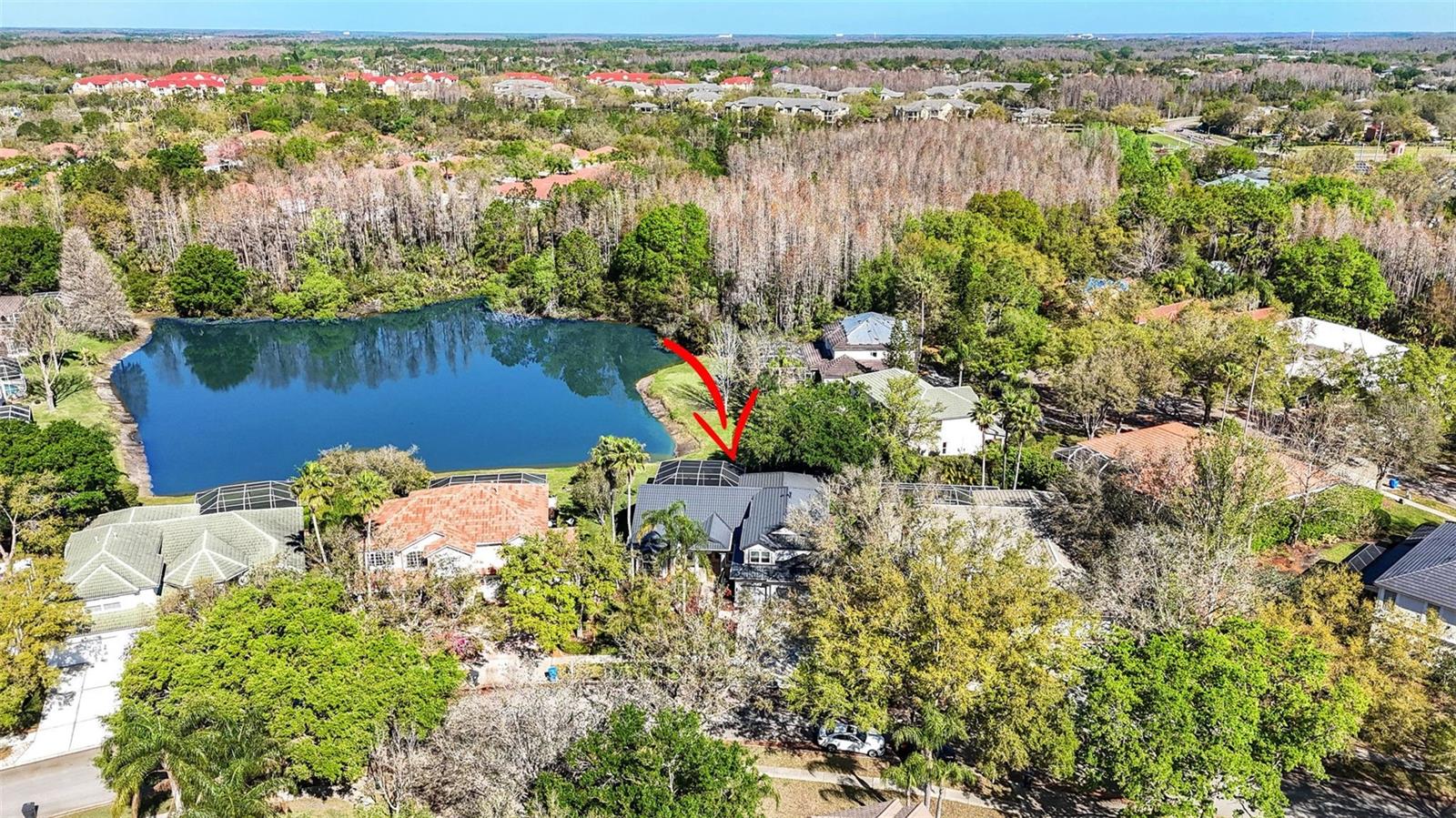 10218 GARDEN ALCOVE DR, TAMPA, FL, 33647