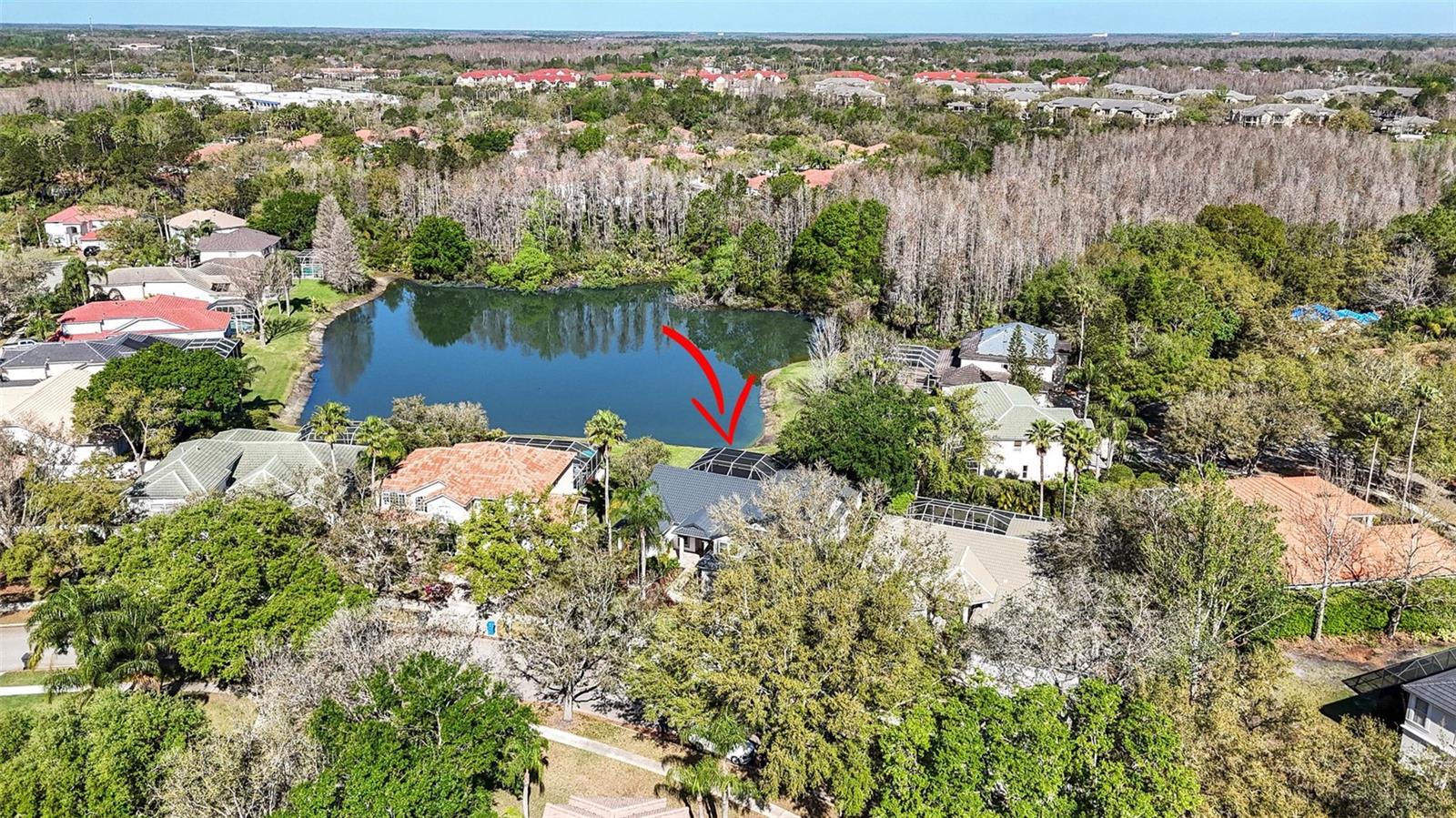 10218 GARDEN ALCOVE DR, TAMPA, FL, 33647