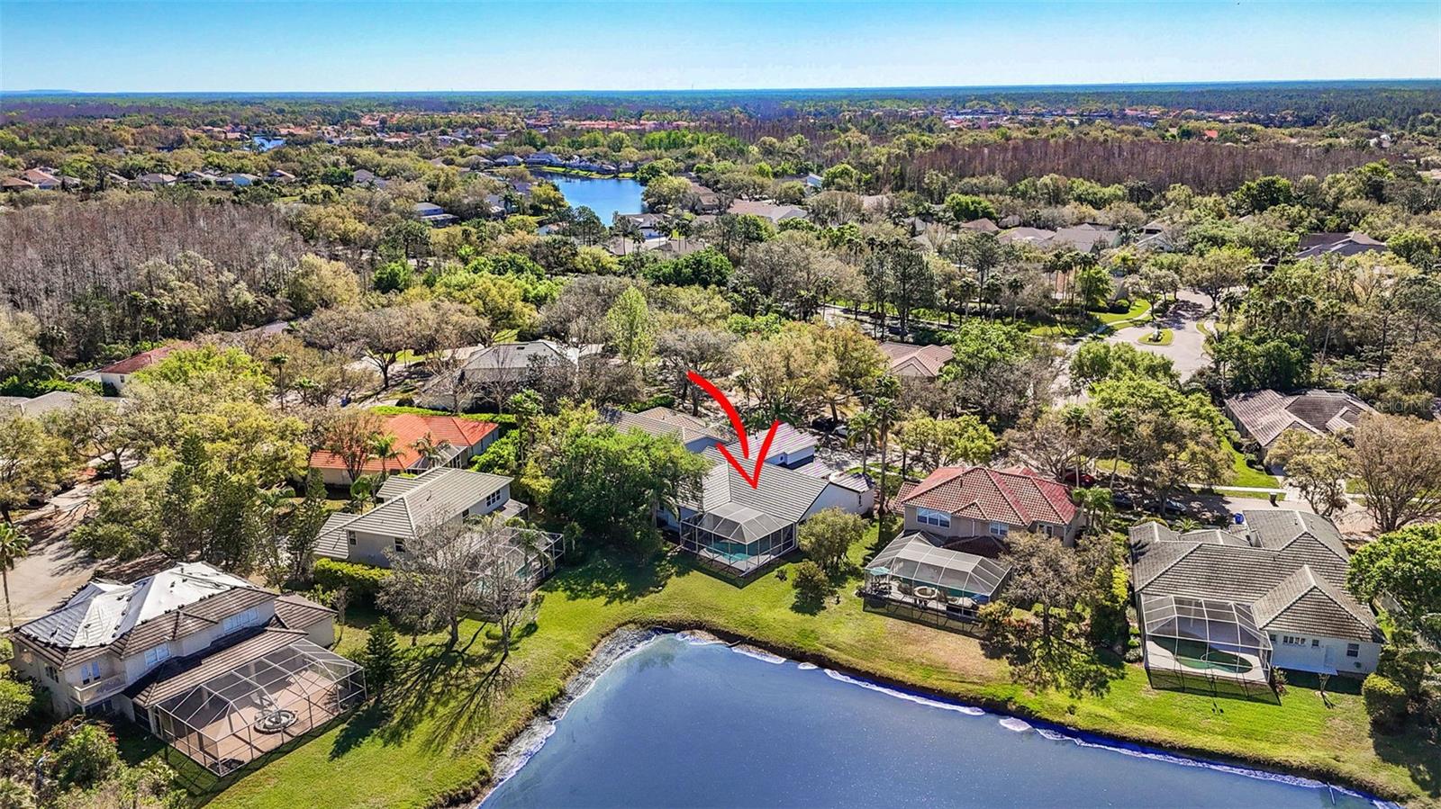 10218 GARDEN ALCOVE DR, TAMPA, FL, 33647
