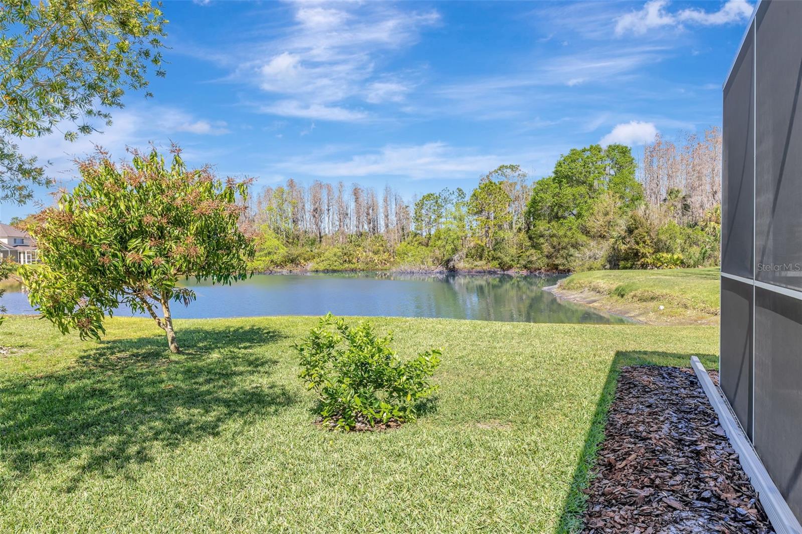 10218 GARDEN ALCOVE DR, TAMPA, FL, 33647