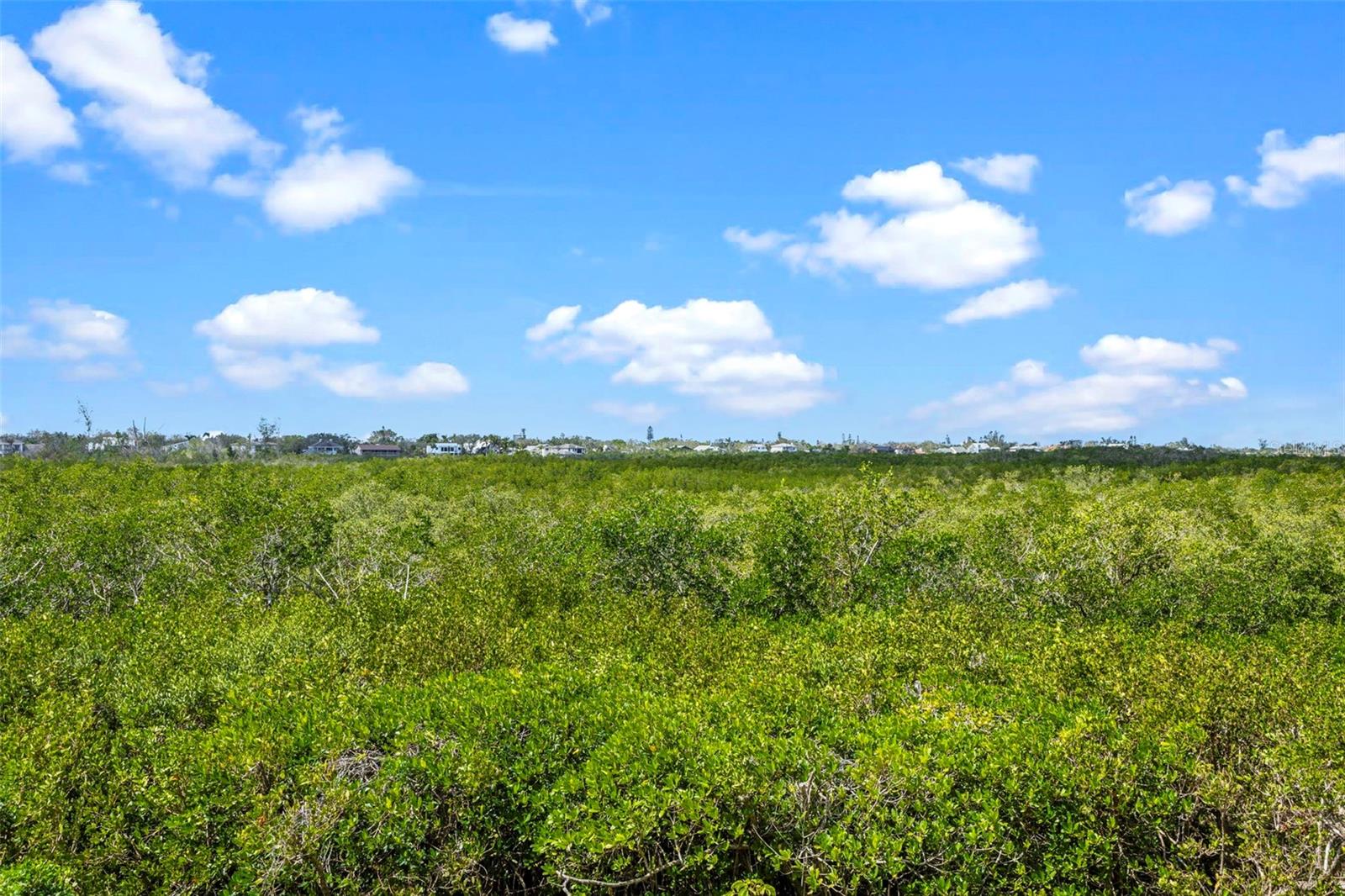 5420 EAGLES POINT CIR #103, SARASOTA, FL, 34231