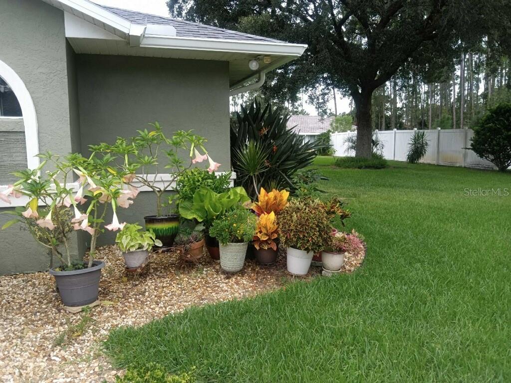 33 POINSETTIA LN, PALM COAST, FL, 32164