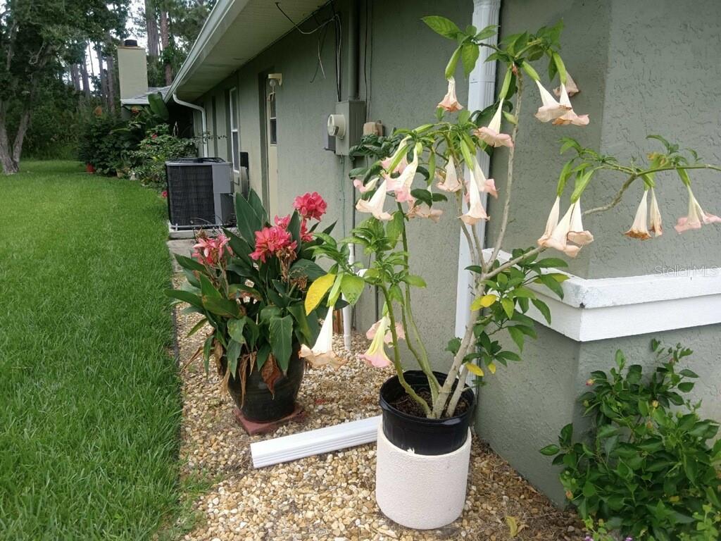 33 POINSETTIA LN, PALM COAST, FL, 32164