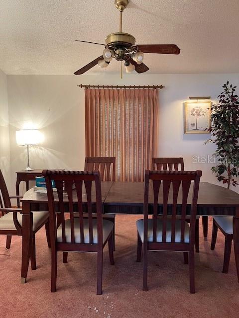 27 PATRICIA DR, PALM COAST, FL, 32164