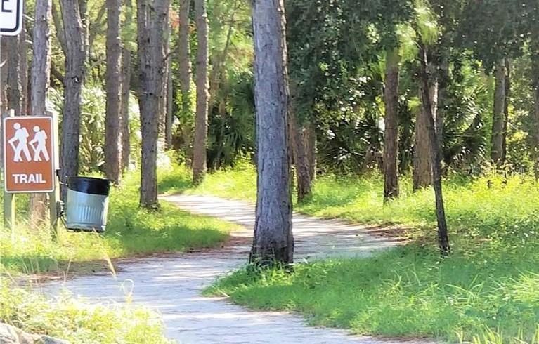 Fred Howard Park Trail