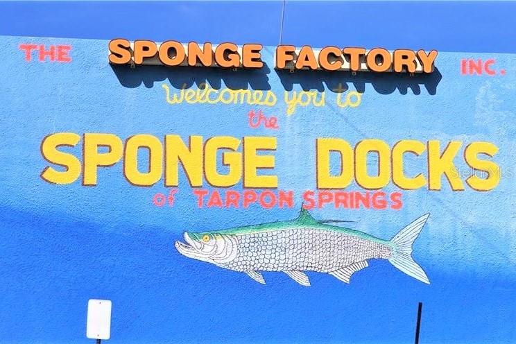 Sponge Docks