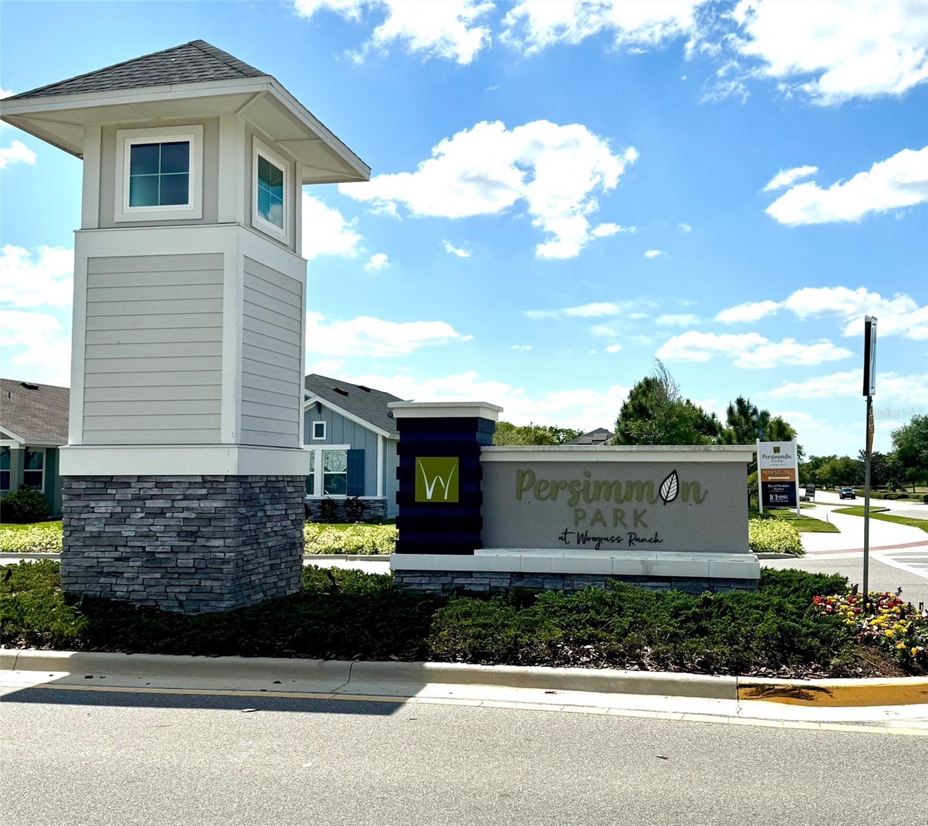 3579 SWEET MABOLO ST, WESLEY CHAPEL, FL, 33543