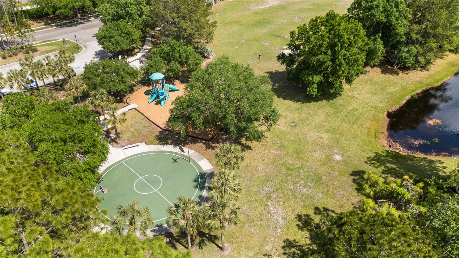 12526 BLAZING STAR DR, TAMPA, FL, 33626