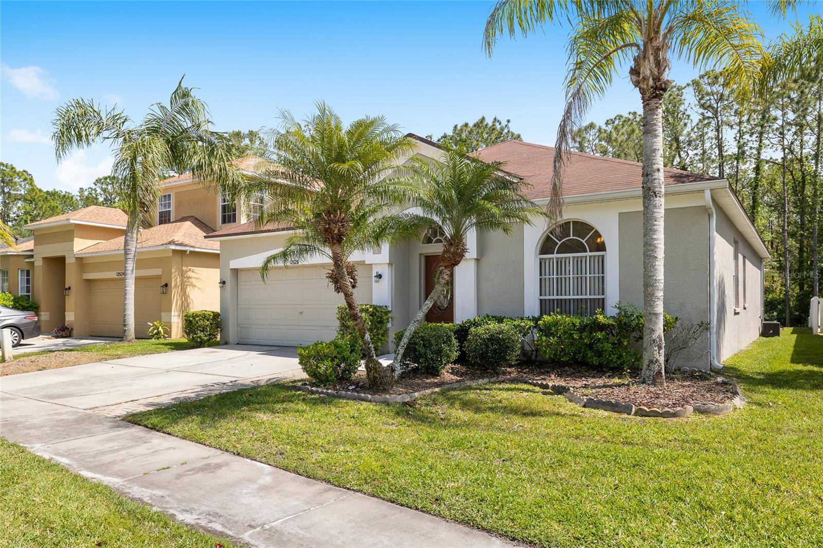 12526 BLAZING STAR DR, TAMPA, FL, 33626