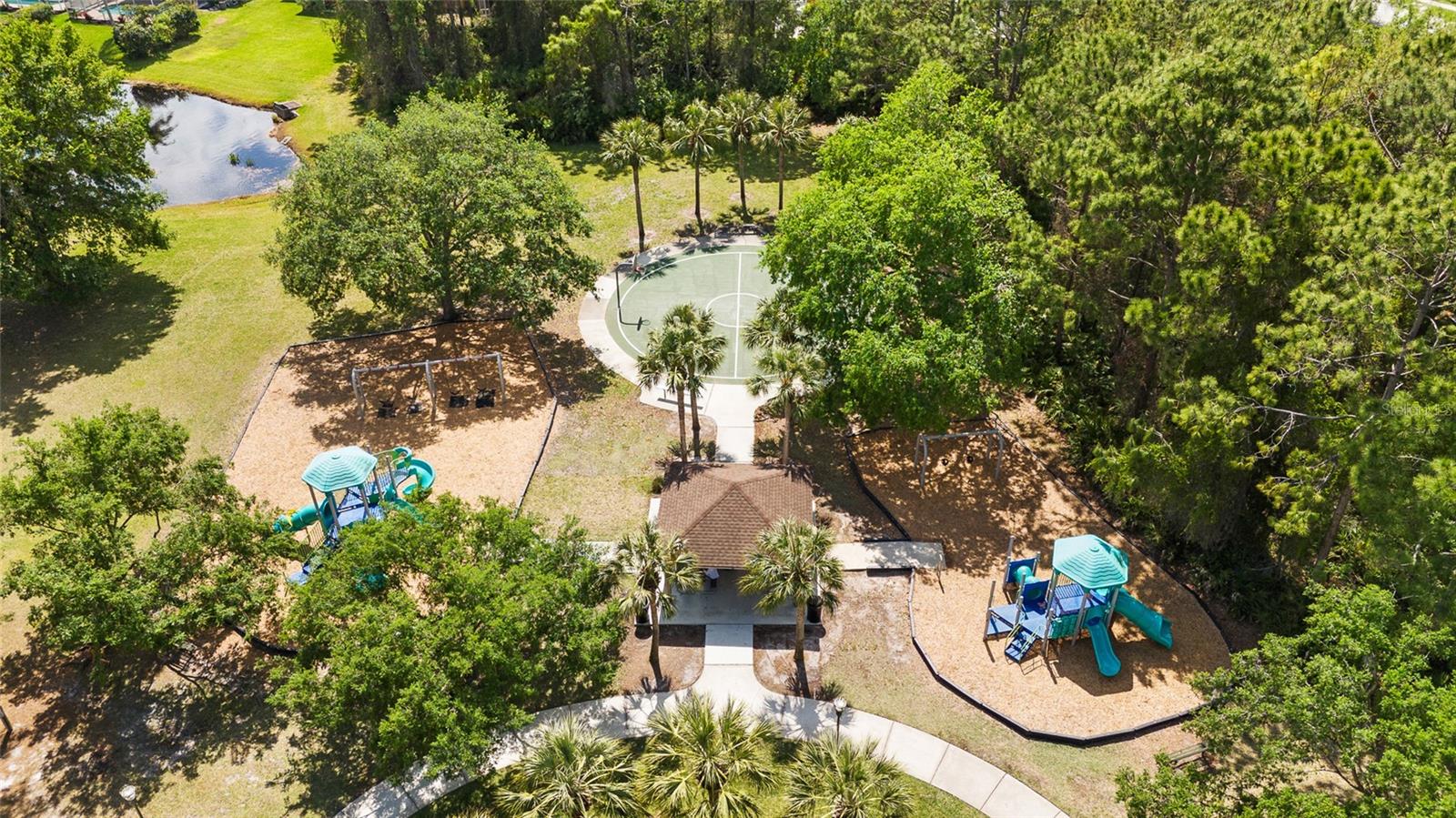 12526 BLAZING STAR DR, TAMPA, FL, 33626