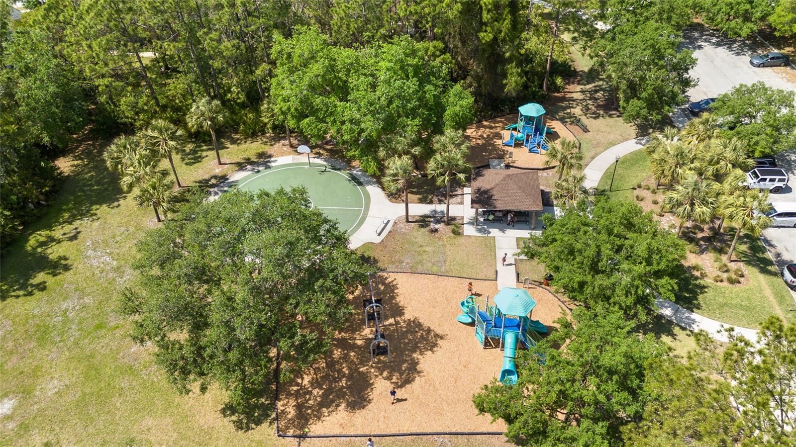 12526 BLAZING STAR DR, TAMPA, FL, 33626