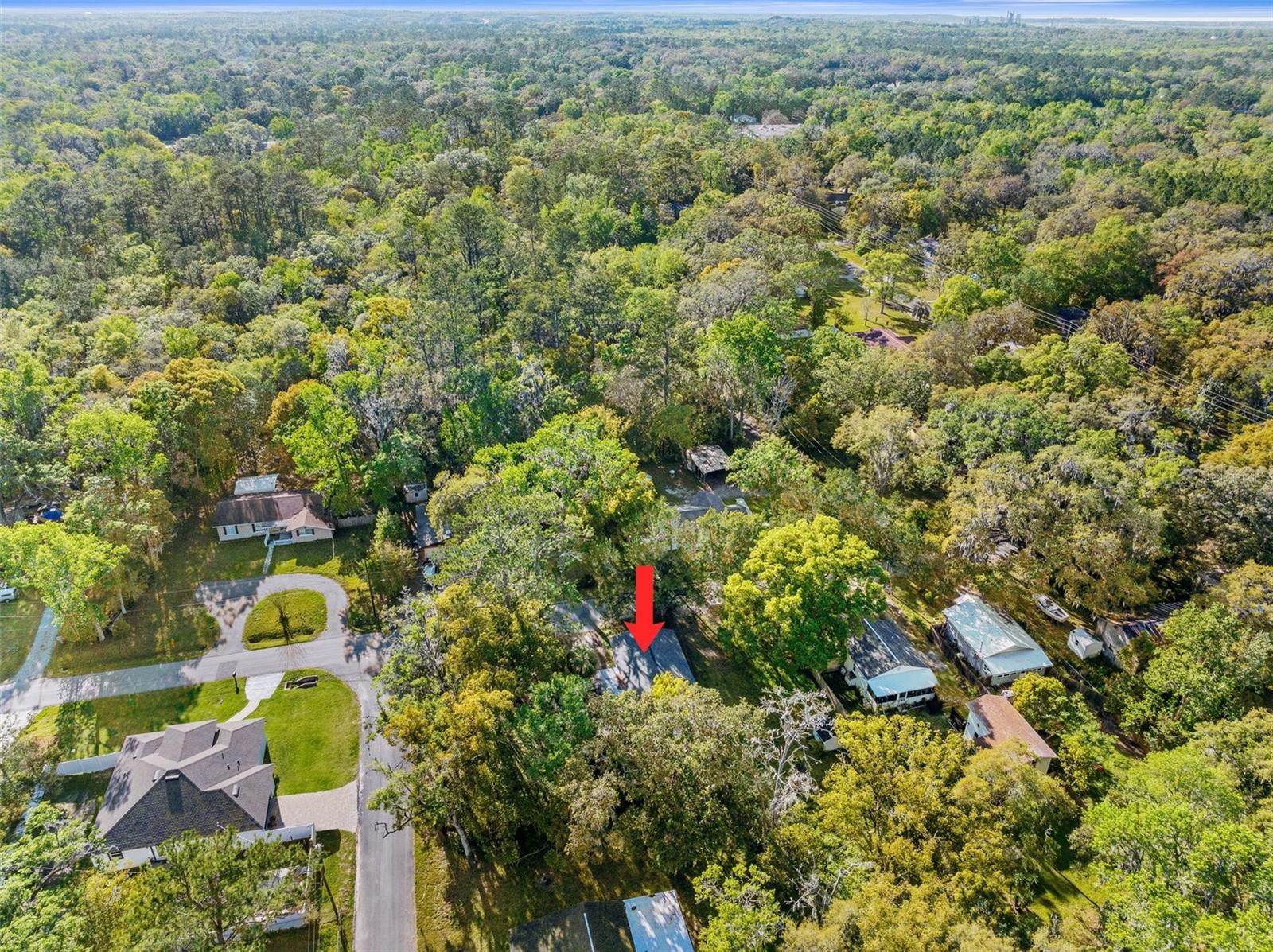 406 ZOLLER ST, BROOKSVILLE, FL, 34601