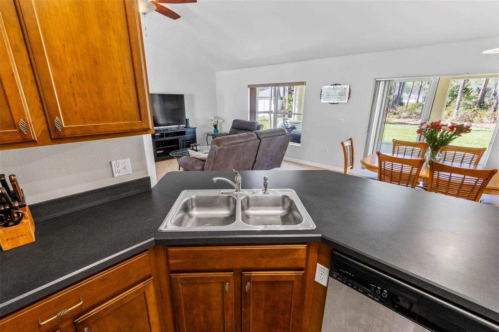 24 RIPCORD LN, PALM COAST, FL, 32164