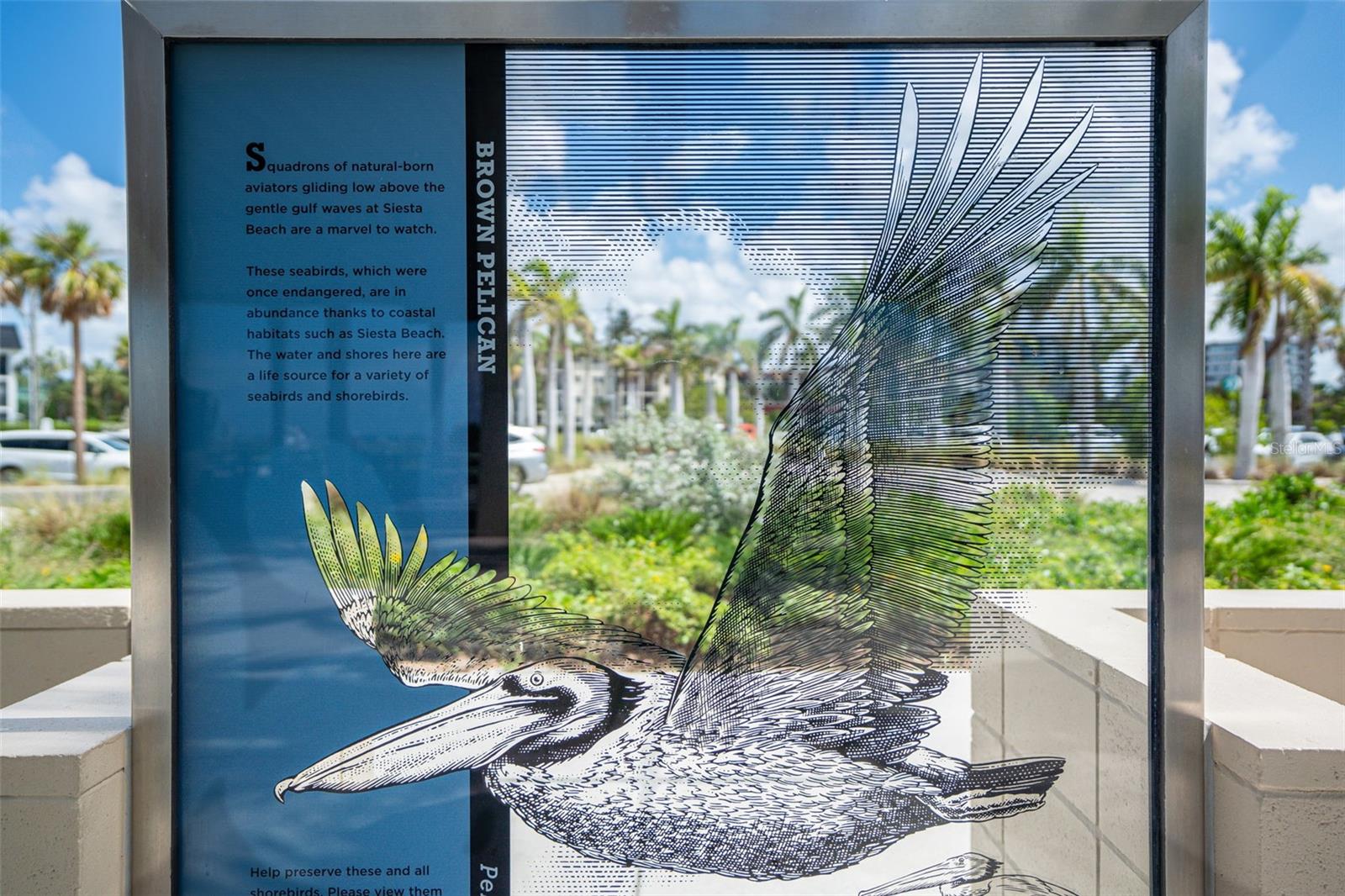 5855 MIDNIGHT PASS RD #327, SARASOTA, FL, 34242