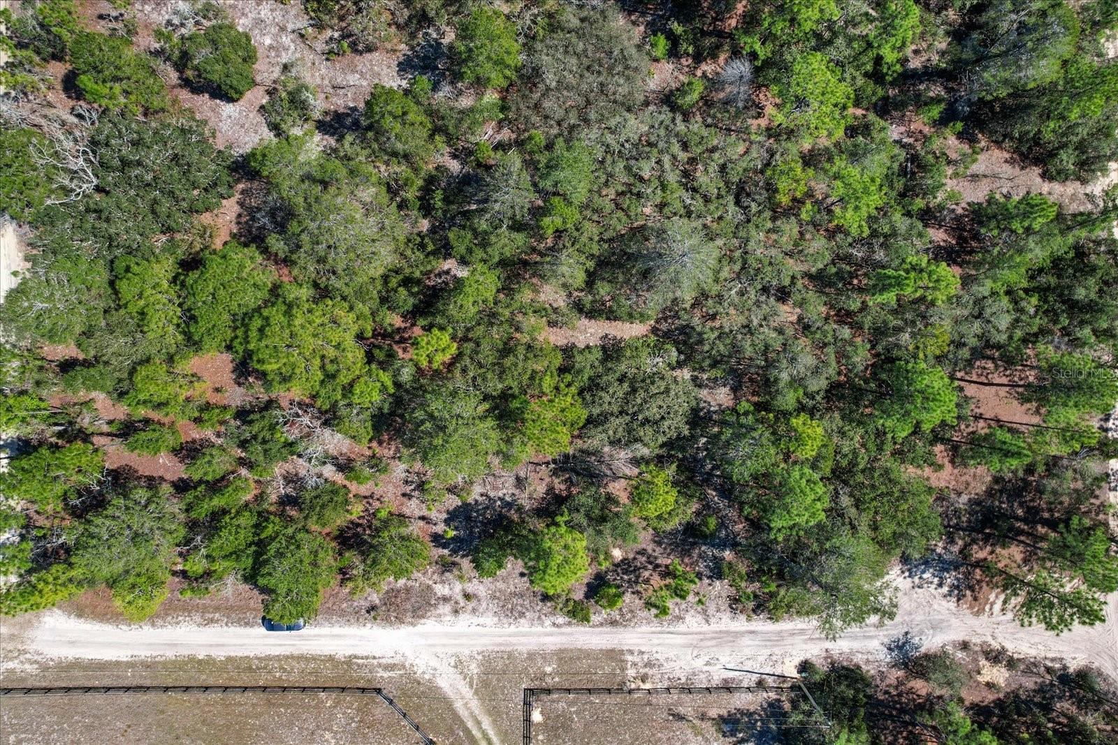 3606 W CARPENTER CT, DUNNELLON, FL, 34433