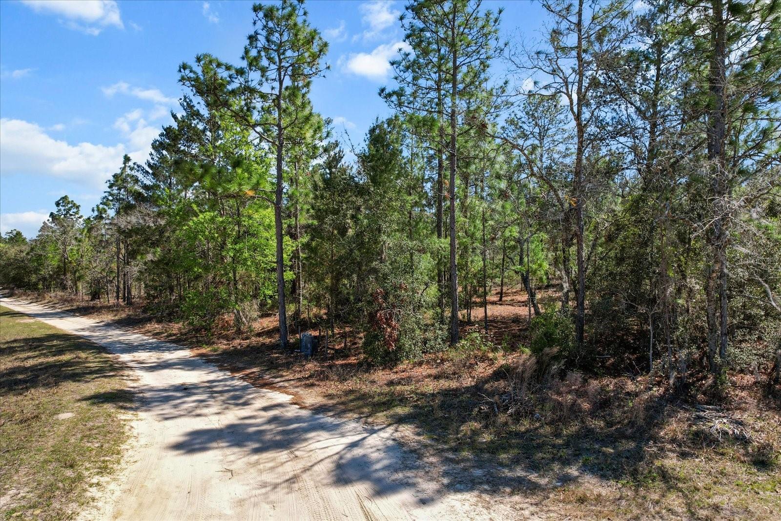 3606 W CARPENTER CT, DUNNELLON, FL, 34433