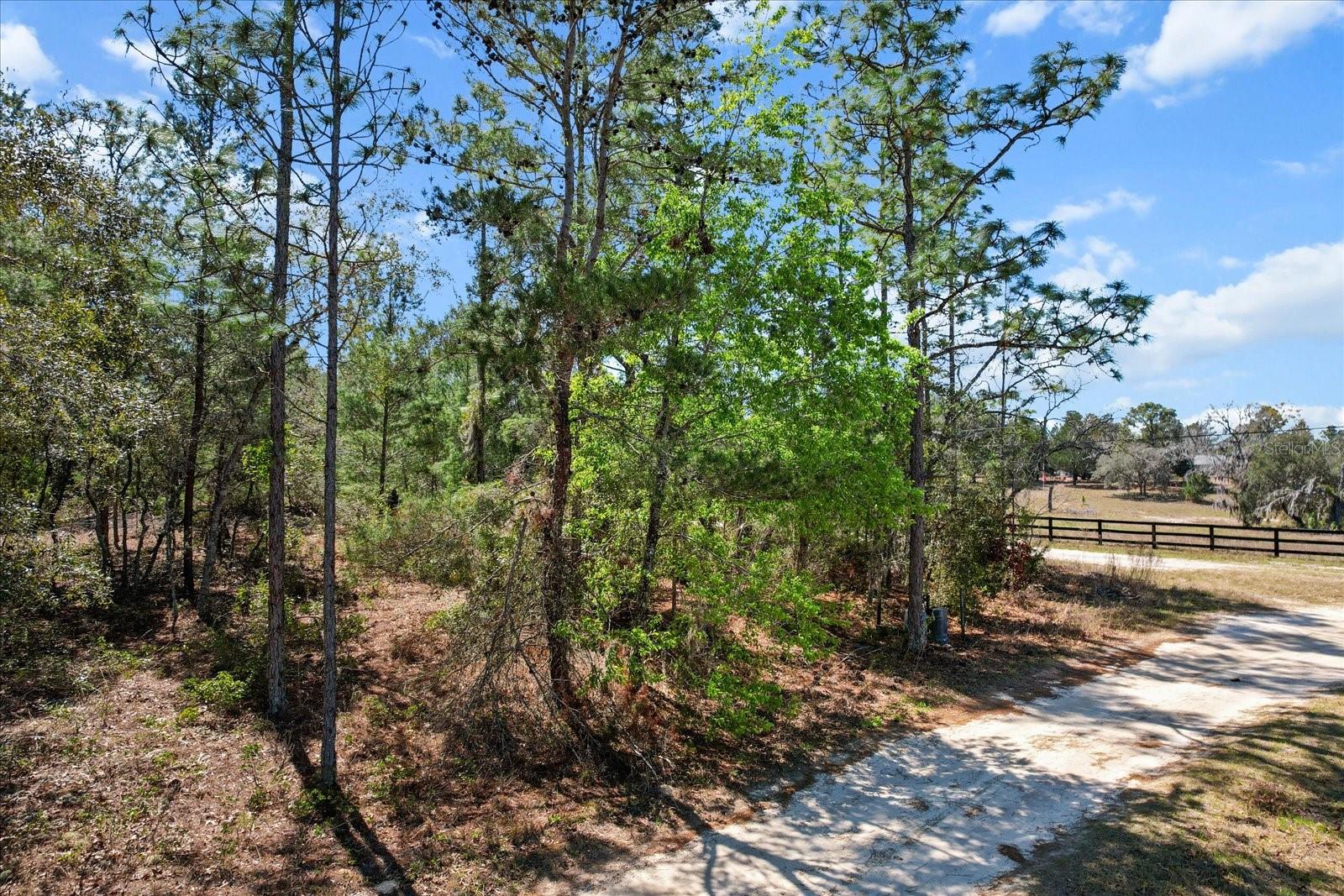 3606 W CARPENTER CT, DUNNELLON, FL, 34433