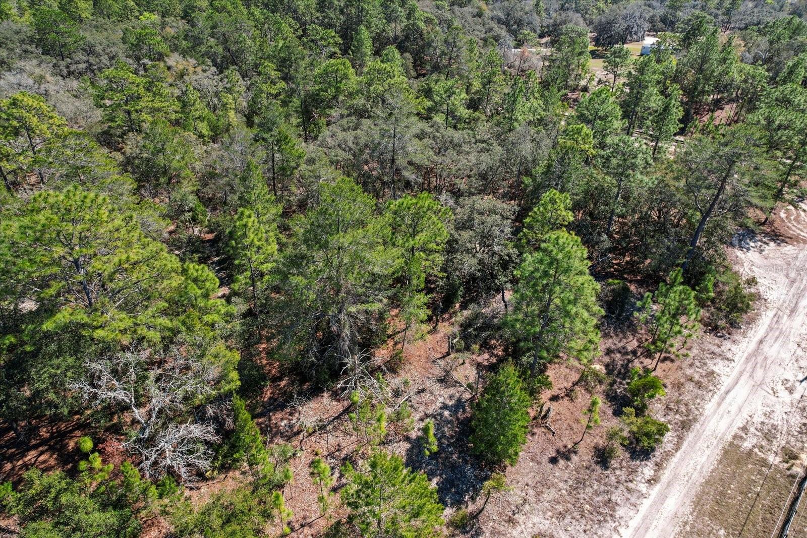 3606 W CARPENTER CT, DUNNELLON, FL, 34433