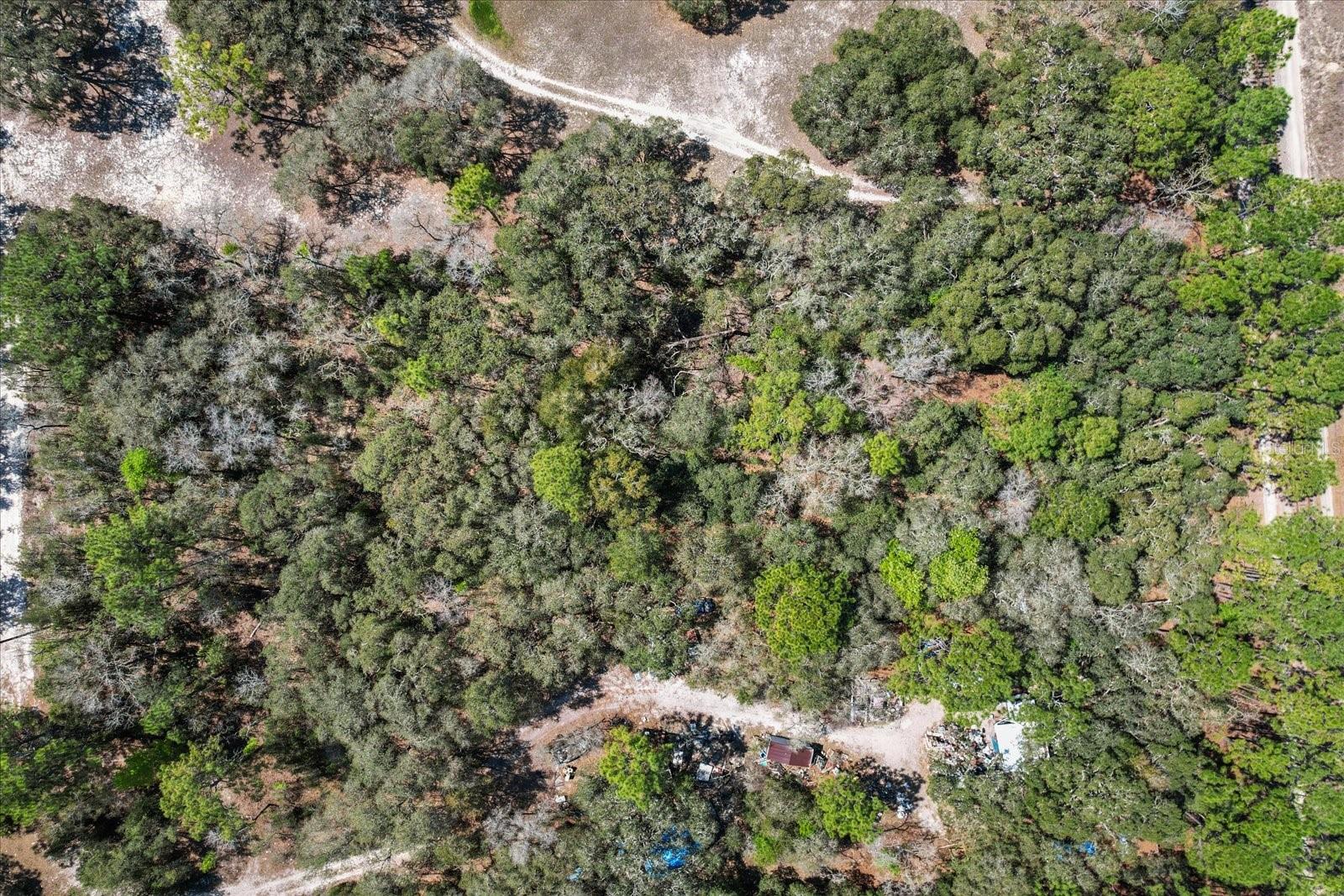 3539 W BARRETT CT, DUNNELLON, FL, 34433