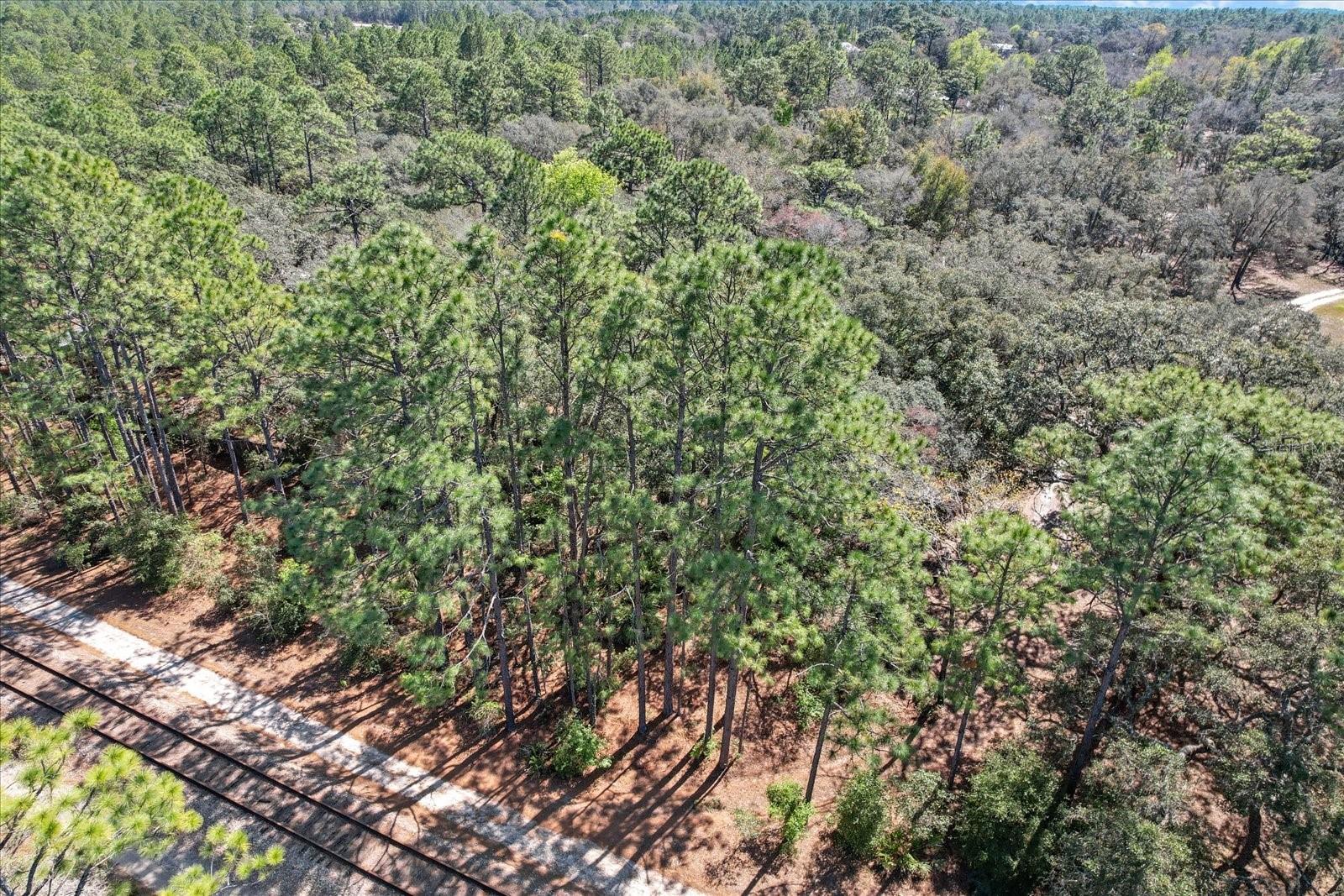 3539 W BARRETT CT, DUNNELLON, FL, 34433