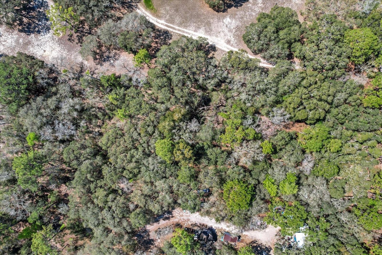 3539 W BARRETT CT, DUNNELLON, FL, 34433