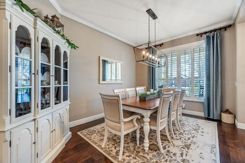 15918 SORAWATER DR, LITHIA, FL, 33547