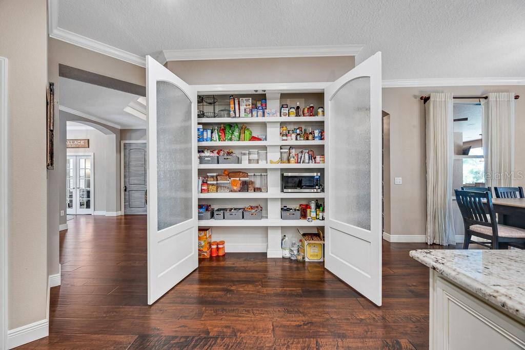 15918 SORAWATER DR, LITHIA, FL, 33547