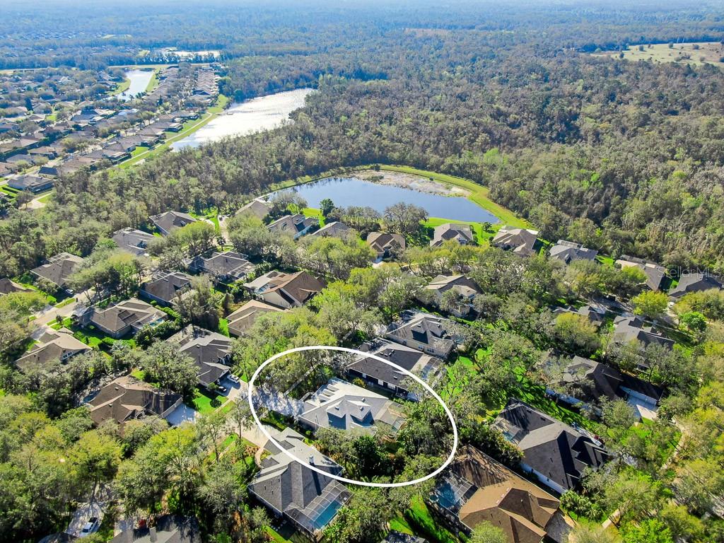 15918 SORAWATER DR, LITHIA, FL, 33547