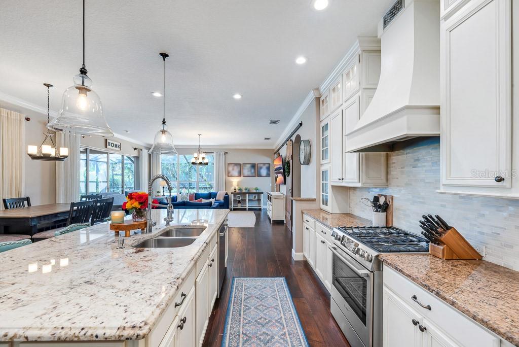 15918 SORAWATER DR, LITHIA, FL, 33547