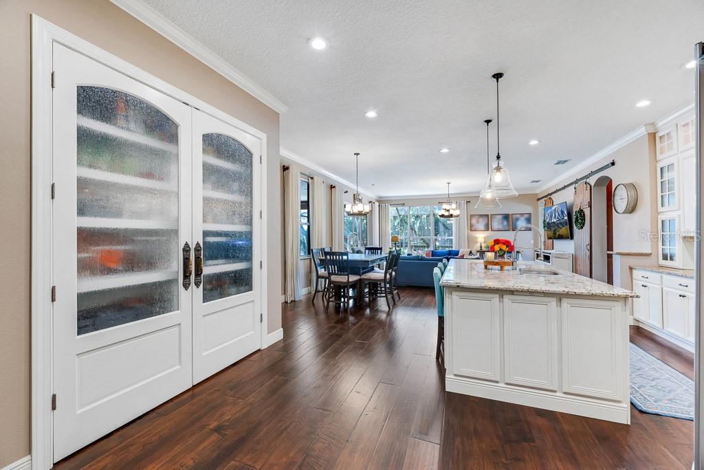 15918 SORAWATER DR, LITHIA, FL, 33547