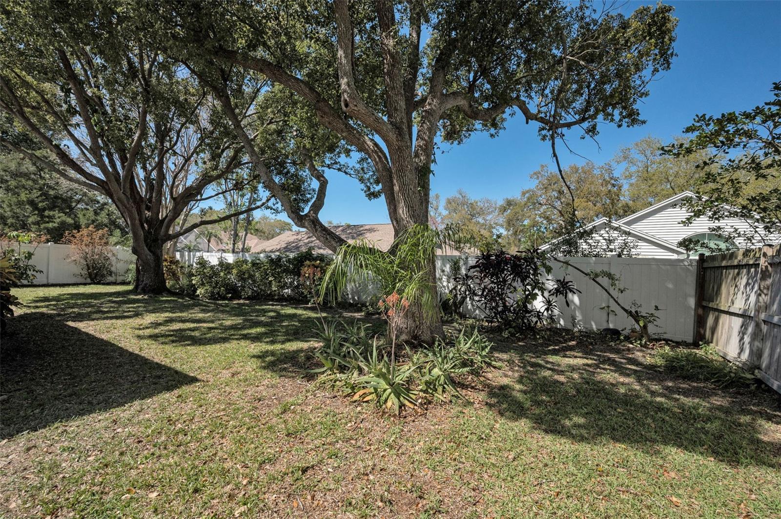 2069 CORMORANT DR, PALM HARBOR, FL, 34683