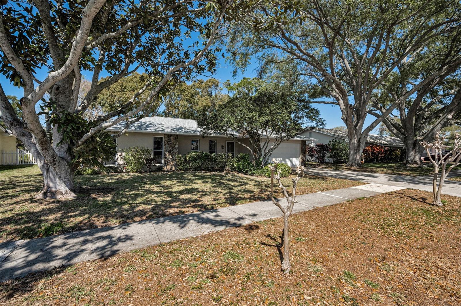 2069 CORMORANT DR, PALM HARBOR, FL, 34683