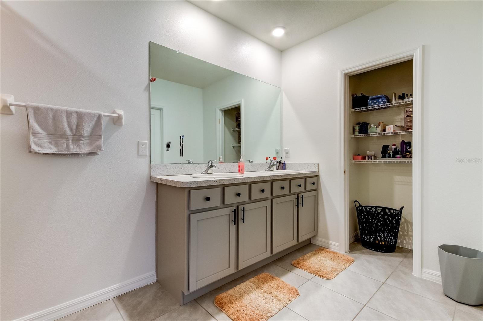 34110 JASPER STONE DR, WESLEY CHAPEL, FL, 33543